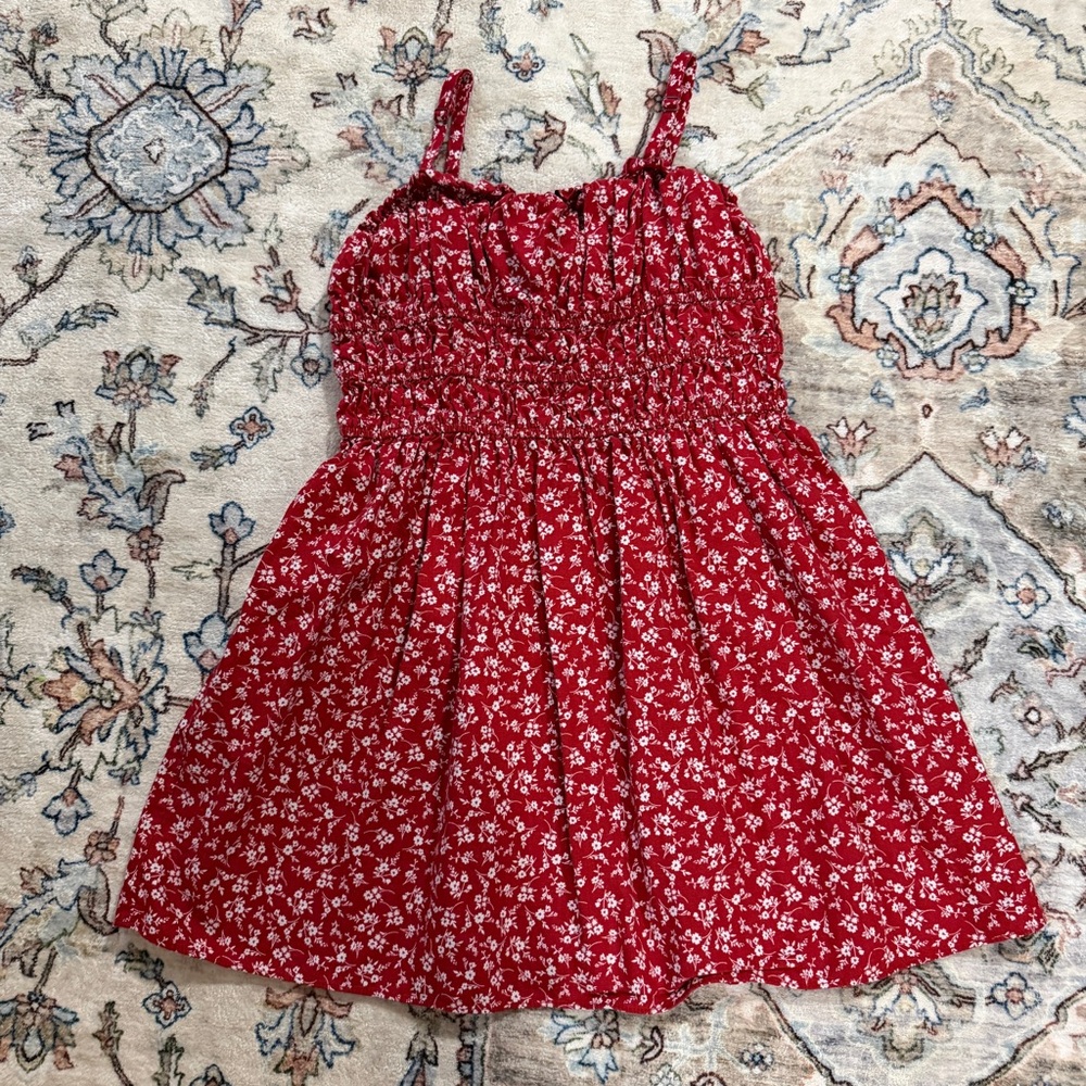 Wild Fable Red Floral Mini Dress